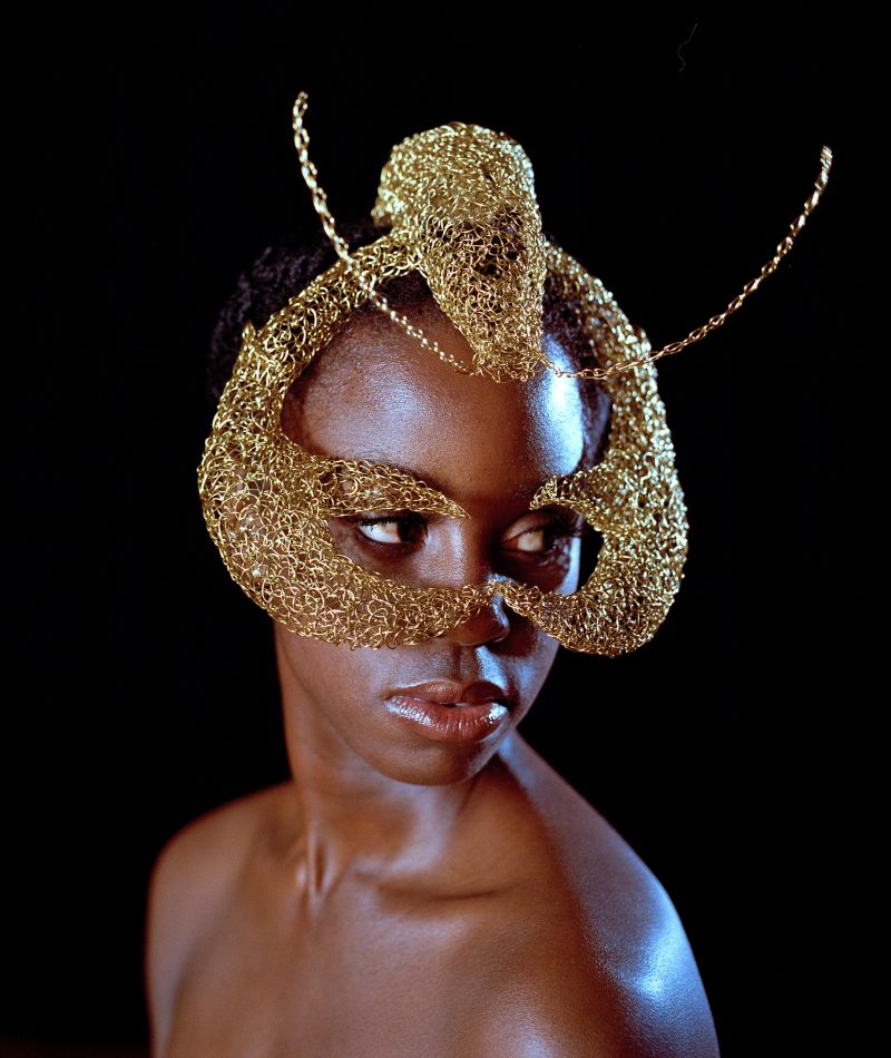 Lobster mask