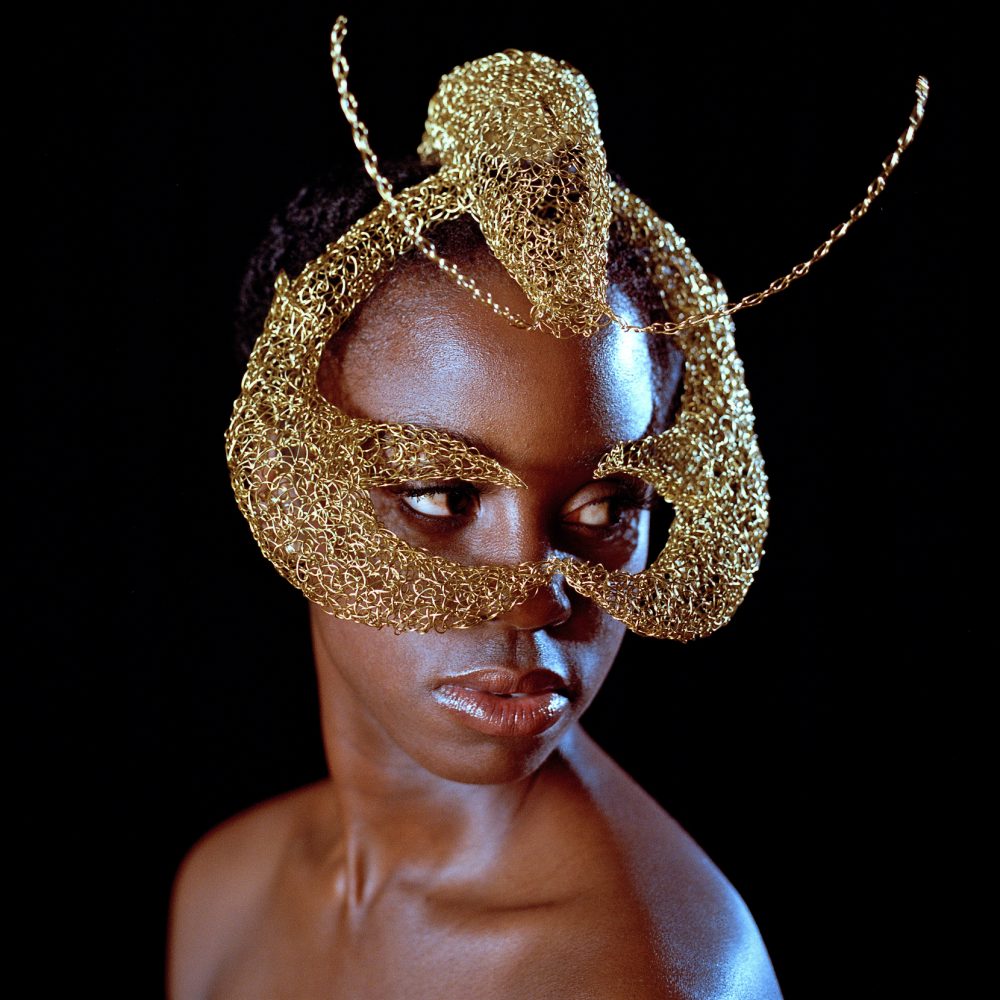 Lobster mask