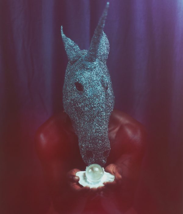 Zane-flewid-1