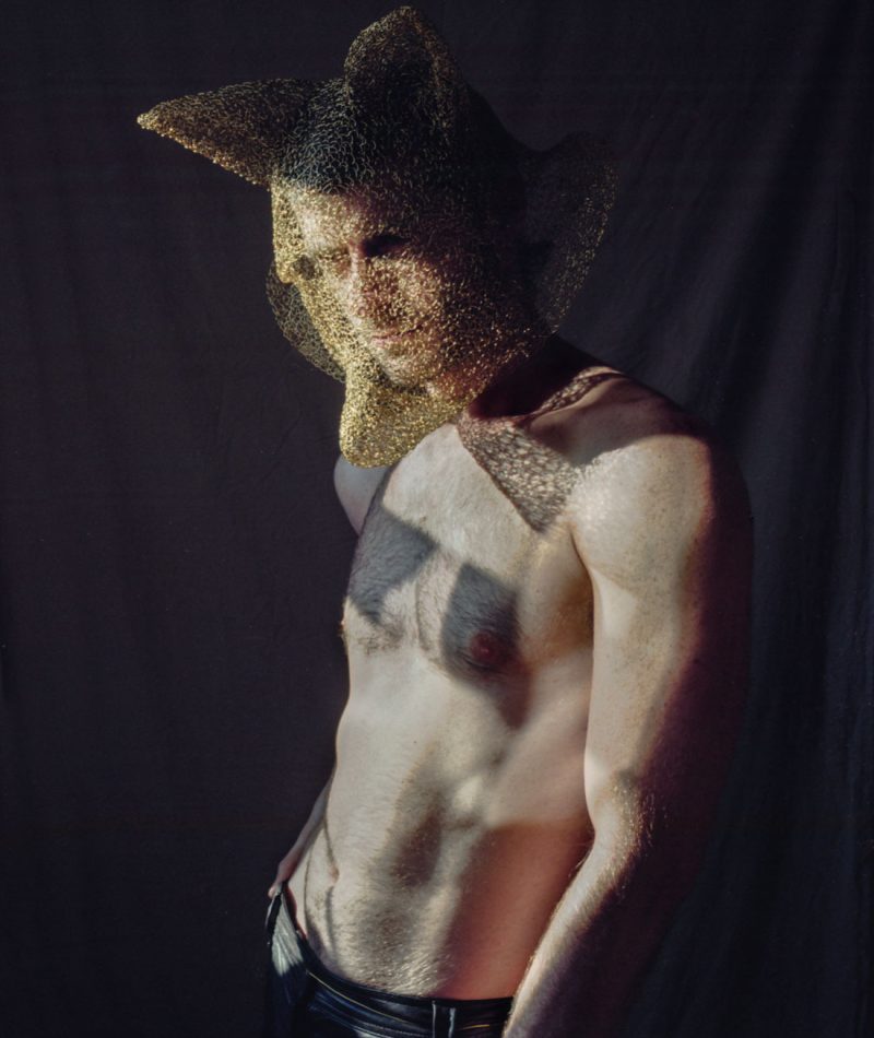 The Golden Fox