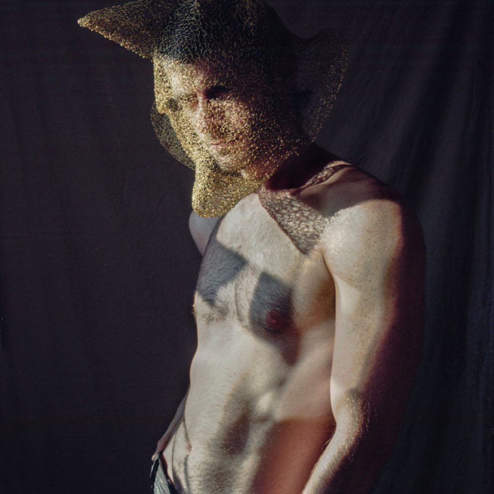 The Golden Fox